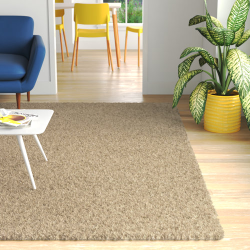 Wayfair Basics® Shag Beige Area Rug & Reviews Wayfair